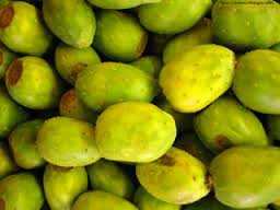 ARROPE DE TUNAS